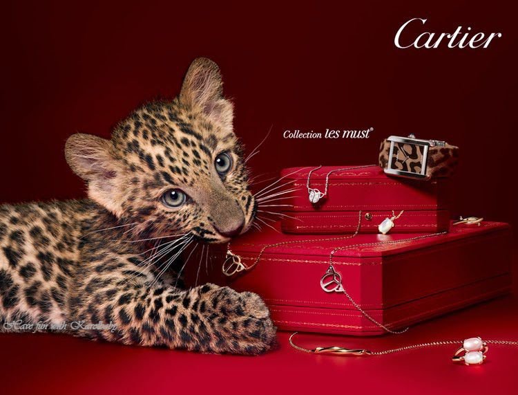 cartier.jpg