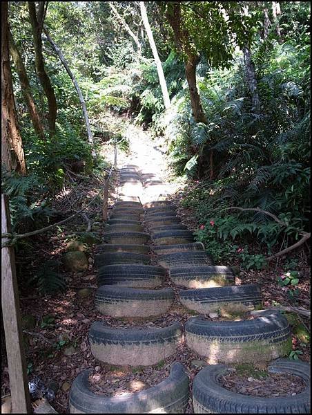 林口森林步道