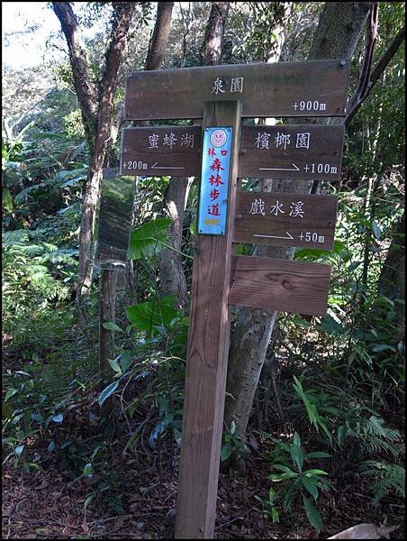 林口森林步道