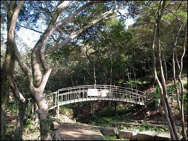 林口森林步道