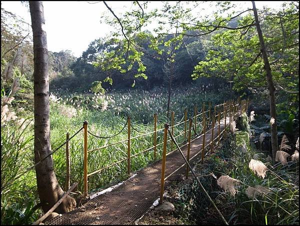 林口森林步道