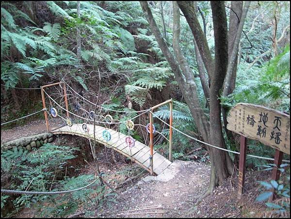 林口森林步道