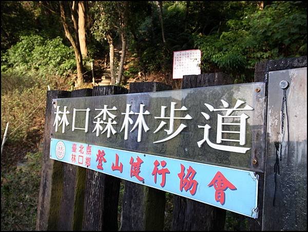 林口森林步道