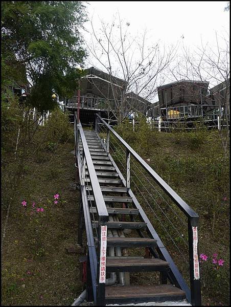 櫻花谷露營