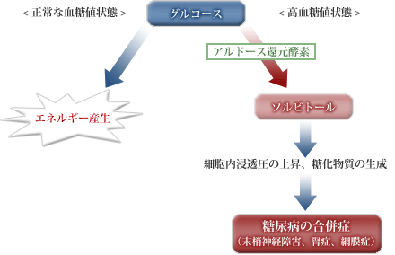 tamanegi_pict03