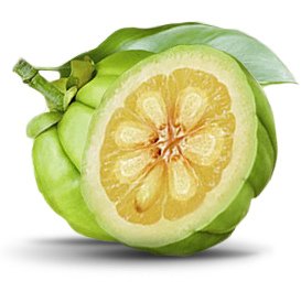 garcinia-cambogia