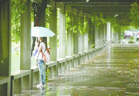 0520梅雨.jpg