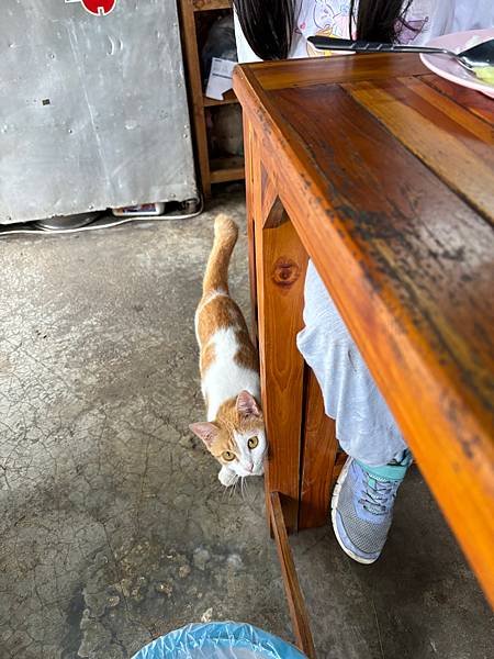 [素可泰]單車漫遊西昌寺、風神王寺/二十銖海南雞飯