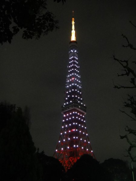 DSC00969.JPG