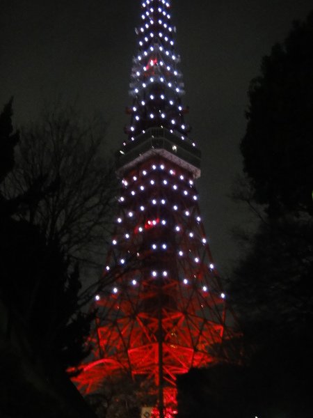 DSC00972.JPG