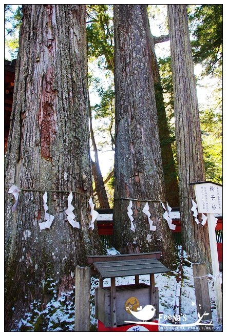 二荒山神社 (5)_nEO_IMG