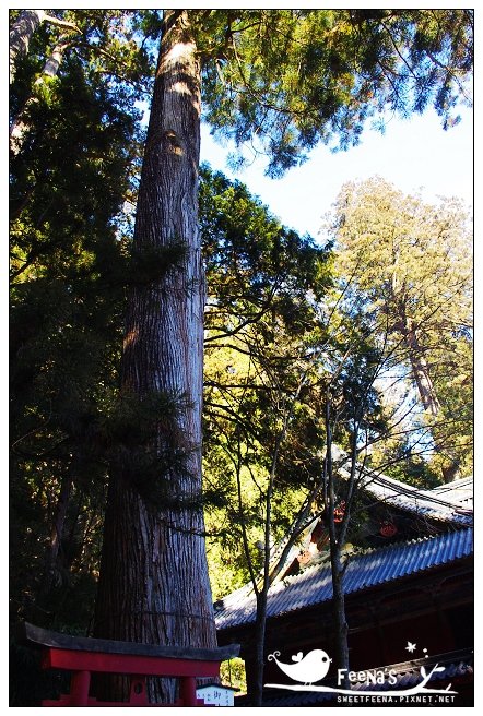 二荒山神社 (13)_nEO_IMG