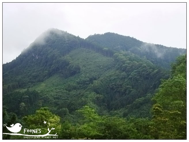 向天湖和東河 (4)