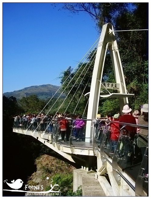 小烏來天空步道_nEO_IMG.jpg