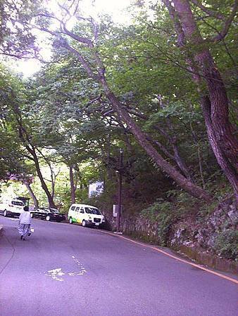 PICT0033.JPG