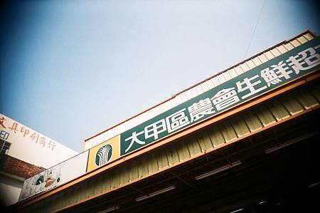 20500032
