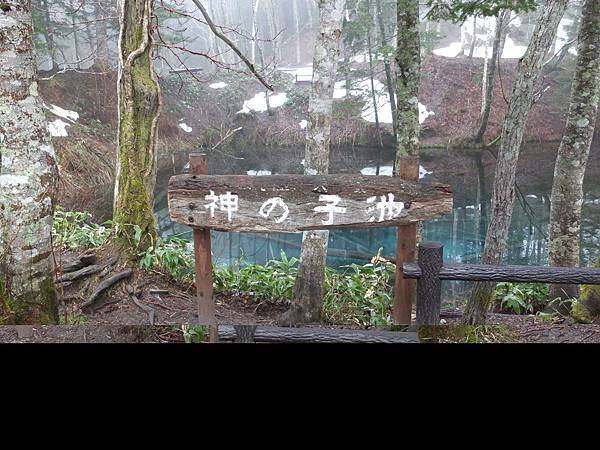 神的子池