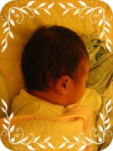 IMG_3291.jpg