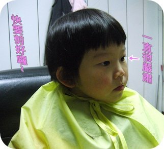 IMG_3345.jpg