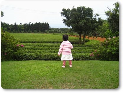 IMG_5269_resize_resize.JPG