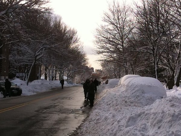 photo1.JPG