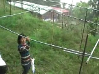5.BMP