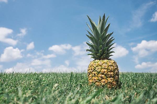 pineapple-867245_960_720.jpg