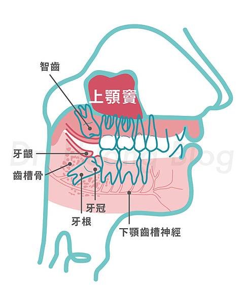 181016_全口圖_mod3-01.jpg