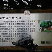 DSCF1261.jpg