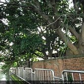 DSCF2439
