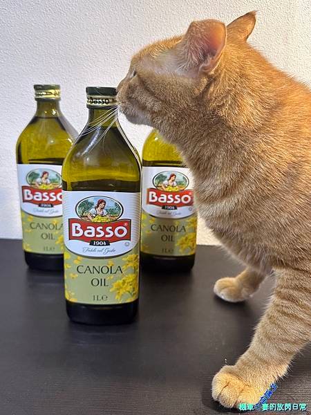 [食記] BASSO黃金芥花油