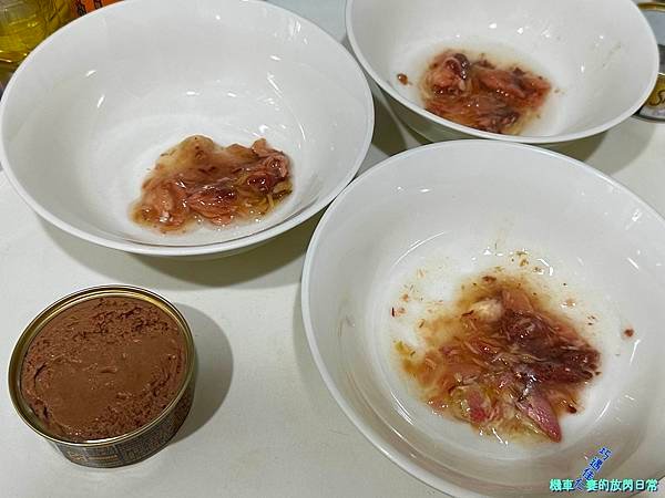 [毛孩] Sheba®希寶 鮮肉慕斯主食罐 滿足貓咪味蕾 貓