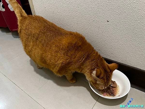 [毛孩] Sheba®希寶 鮮肉慕斯主食罐 滿足貓咪味蕾 貓