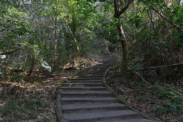 虎山健康步道1