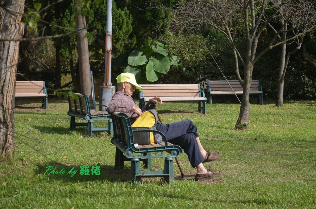 趁暖冬陽光下，再造訪我家後花園—草山公園，只見這位老先生單獨一人，享受陽光，當我來回走動公園拍照，這位老先生兀坐多時，在陽光的催化下他直接翹腿打盹，一副優哉自在樣，相信他並不會寂寞與無聊，因為山林與他做陪，同時自己與他一起做伴；我想再不消多時，也會重演一樣的畫面，有伴何妨你唱我和，無伴獨賞風聲雨聲。