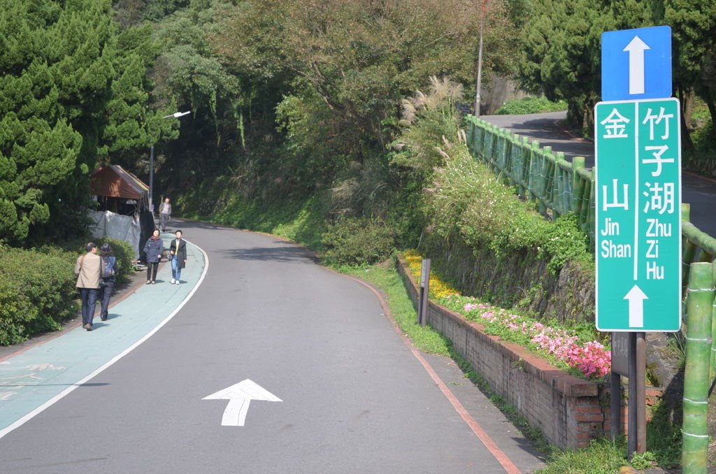 我經常穿過草山公園停車場邊，從這條山路橫過，接陽金公路往金山海邊，樂山樂水；這條熟悉的路徑，宛如我家的院子。