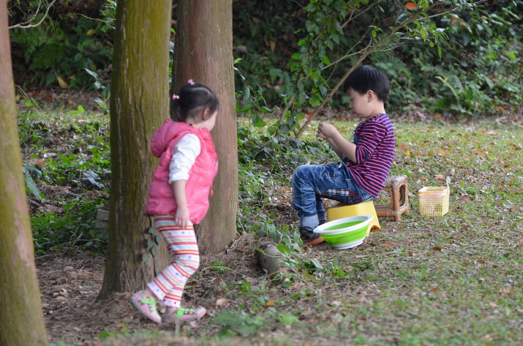 楊氏『四知園』，“天知、神知、我知、子知”的千古名言，但一旦人去園空，什麼「知」都沒了，只剩下童子採川七。.JPG