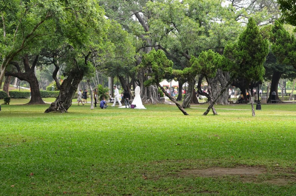 公園內到處都是遊走在白紗、喜悅的未來回憶。.JPG