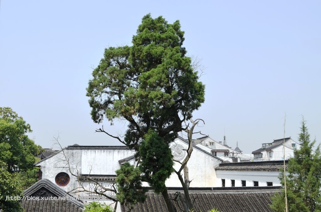 蘇州上海● 從園林到外灘