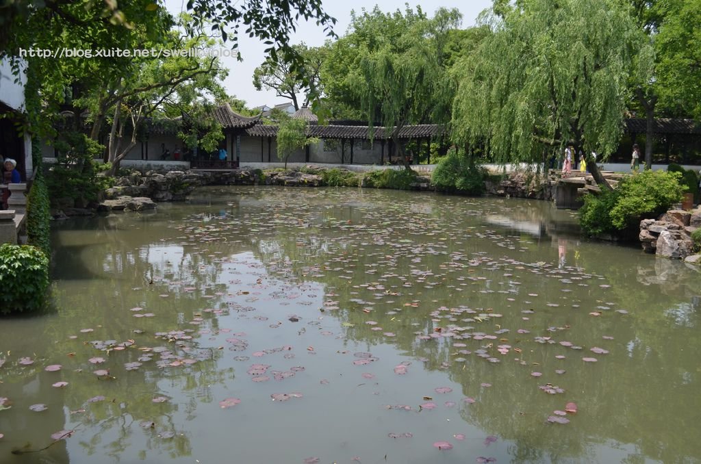 蘇州上海● 從園林到外灘