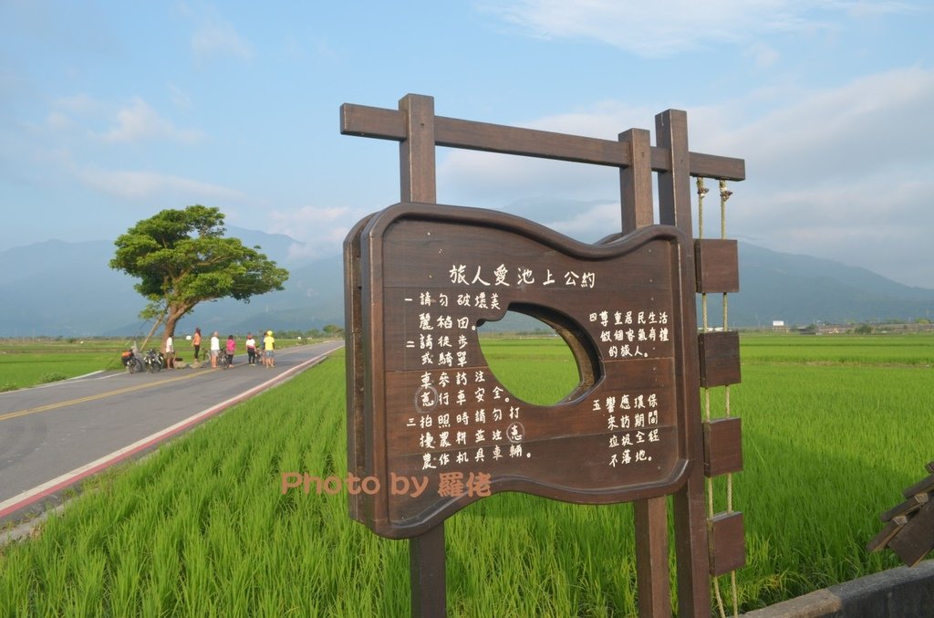 台東池上● 空水醉氤氳