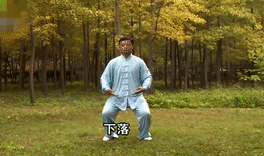 s3.gif
