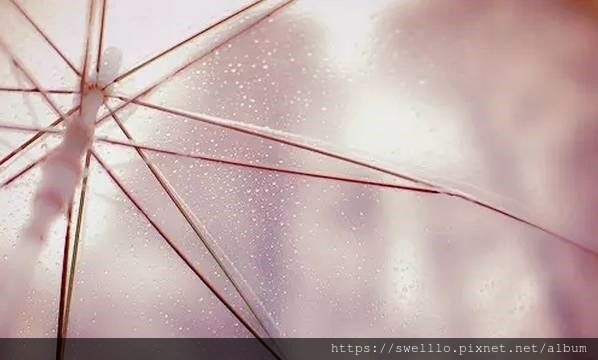 漫步雲端分享● 老來，雨中的浪漫回憶 11首