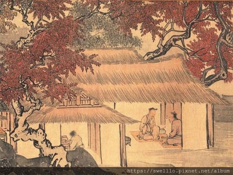 漫步雲端分享● 桃花塢裡桃花庵  桃花庵下桃花仙