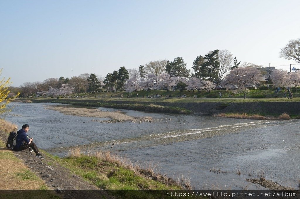 日本京都● 煙花三月上京都