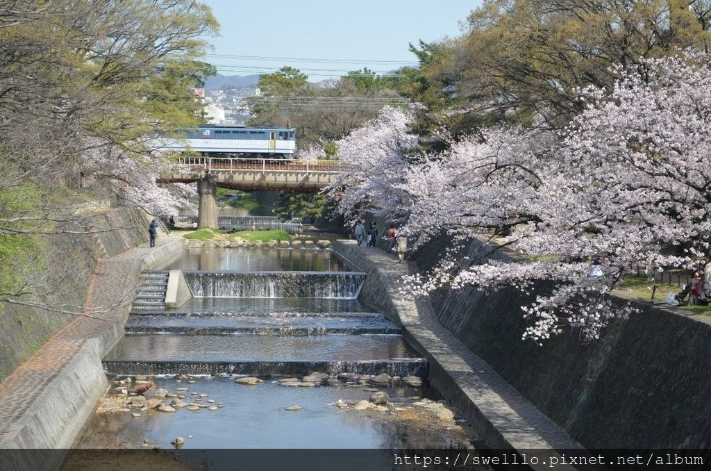 日本京都● 煙花三月上京都