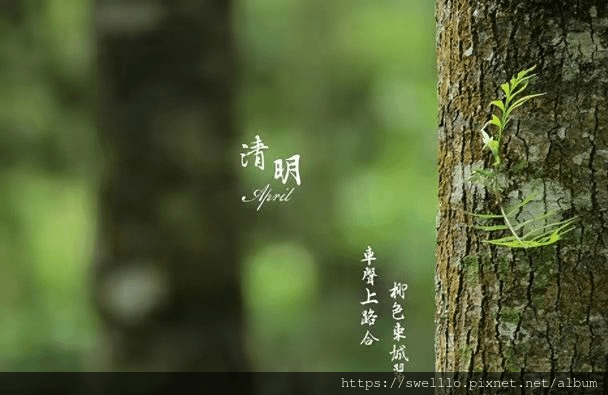 漫步雲端分享● 清明時節