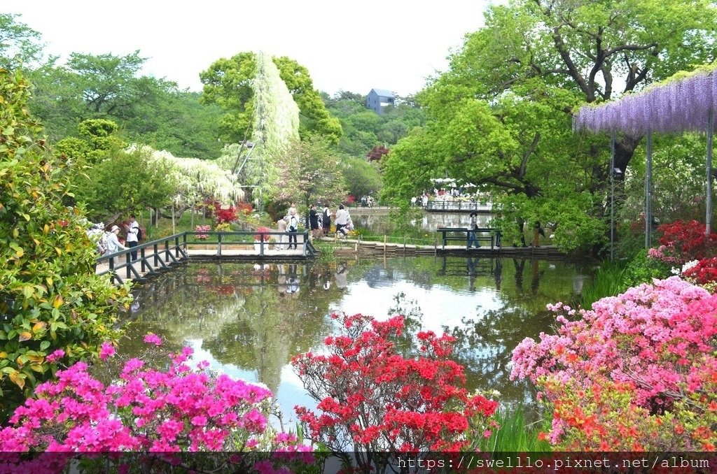 日本中部● 雲想衣裳花想容