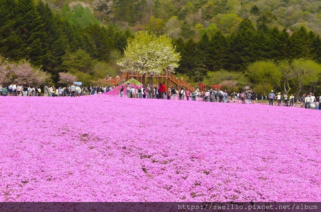 日本中部● 雲想衣裳花想容