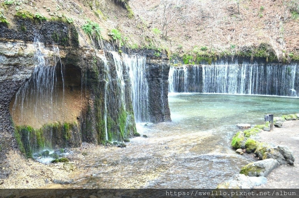 日本中部● 雲想衣裳花想容